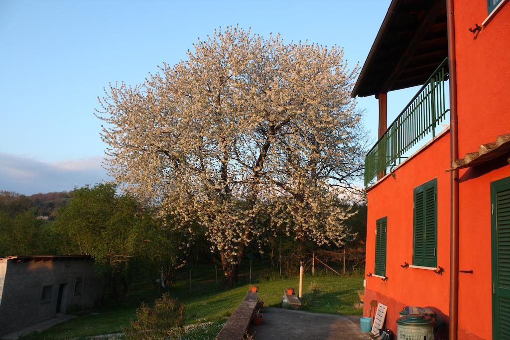 Bed and Breakfast La Finestra Sul Lago Рончильоне Экстерьер фото