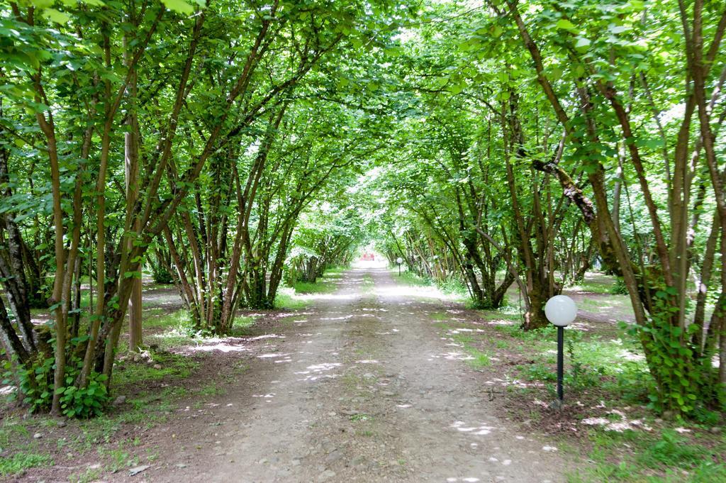 Bed and Breakfast La Finestra Sul Lago Рончильоне Экстерьер фото