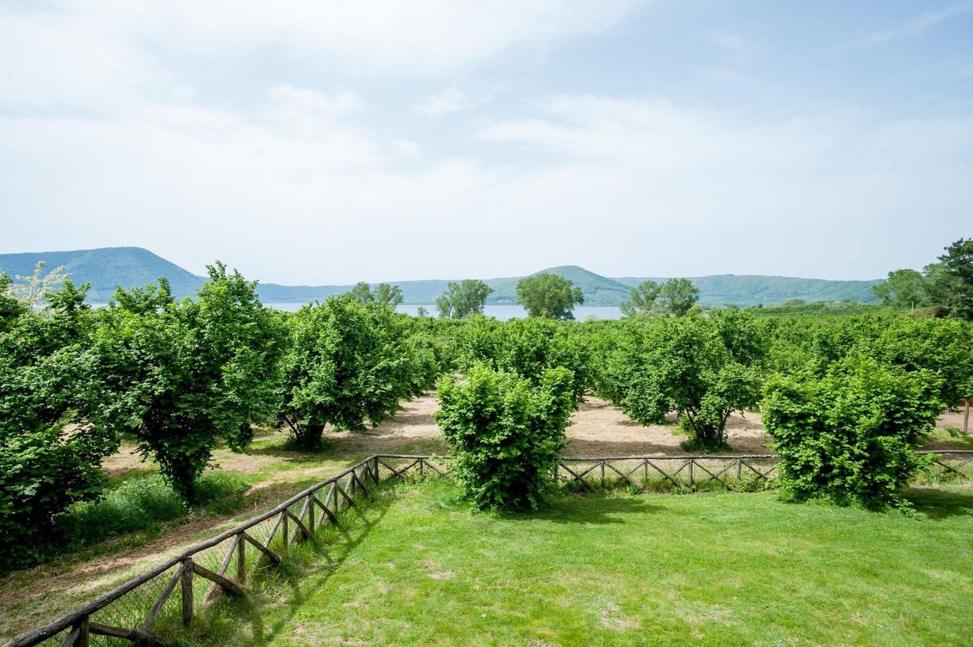 Bed and Breakfast La Finestra Sul Lago Рончильоне Экстерьер фото